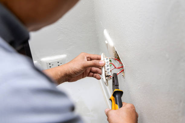 Best Electric Panel Repair  in Fowler, CO